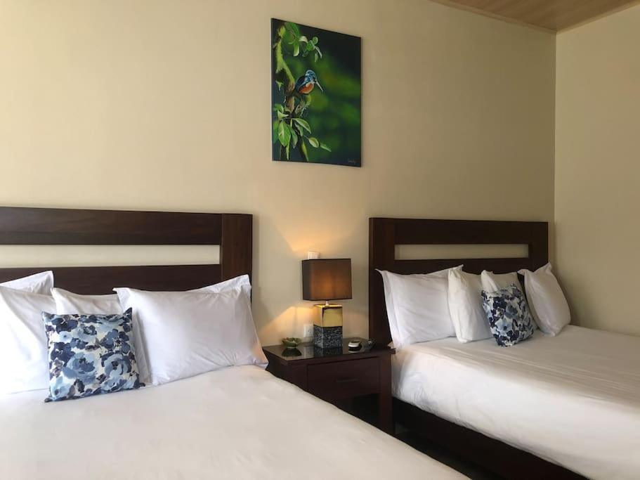 Lisa Loft Boutique Apartment La Fortuna Extérieur photo